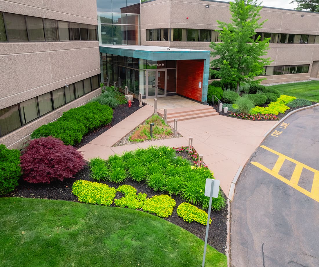 Aesthetic Mentor in Boston